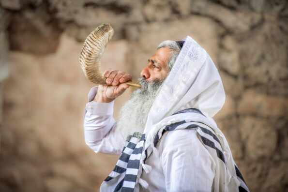 שופר איל טבעי - Image 5