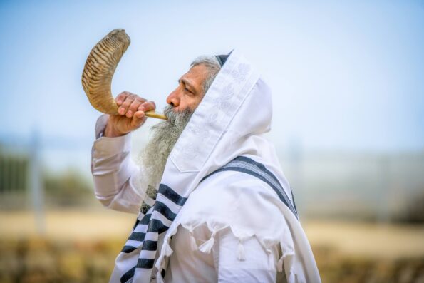 שופר איל טבעי - Image 4