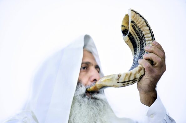 שופר איל טבעי - Image 3